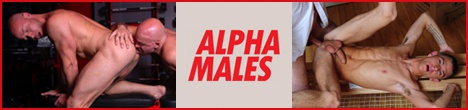 Alpha Males